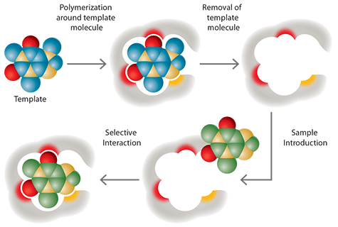Generalized Diagram of MIP Synthesis and Selective Analyte Interaction