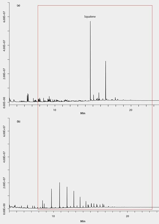 GC/MS-Scan Analysis of Spiked Butter Extracts GC/MS-Scan Analysis of Spiked Butter Extracts