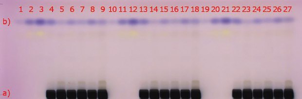 Visualization of the plate under visible light (white light); <b>a</b>) matrix compounds after staining with anisaldehyde sulfuric acid (black areas); <b>b</b>) 2-methylquinoxaline (blue spot at hR<sub>f</sub> 80), (reaction product of methylglyoxal with 1,2-phenylenediamine) Visualization of the HPTLC gel 60 F254 plate under visible light (white light); a) matrix compounds after staining with anisaldehyde sulfuric acid (black areas);b) 2-methylquinoxaline (blue spot at hRf 80), (reaction product of methylglyoxal with 1,2-phenylenediamine)