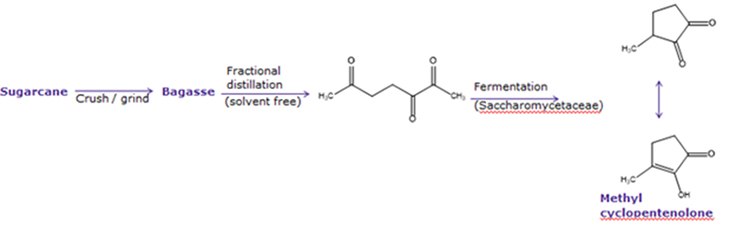Synthesis of natural methyl cyclopentenolone
