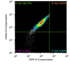 FACS analysis of Jurkat Landing Pad clone prior to Cre-mediated exchange FACS analysis of Jurkat Landing Pad clone prior to Cre-mediated exchange