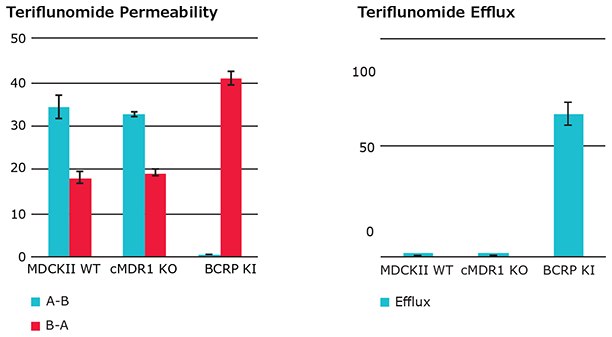Permeability (Papp) and efflux ratio (ER) of hBCRP substrate Teriflunomide in wild type Permeability (Papp) and efflux ratio (ER) of hBCRP substrate Teriflunomide in wild type