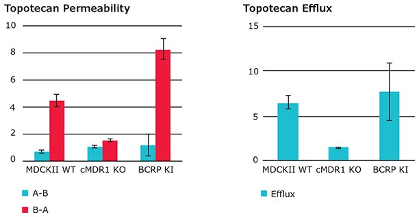 Permeability (Papp) and efflux ratio (ER) of hBCRP substrate Topotecan in wild type Permeability (Papp) and efflux ratio (ER) of hBCRP substrate Topotecan in wild type