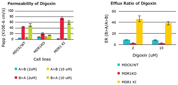 Permeability (Papp) and efflux ratio (ER) of MDR1 substrate digoxin in wild type Permeability (Papp) and efflux ratio (ER) of MDR1 substrate digoxin in wild type