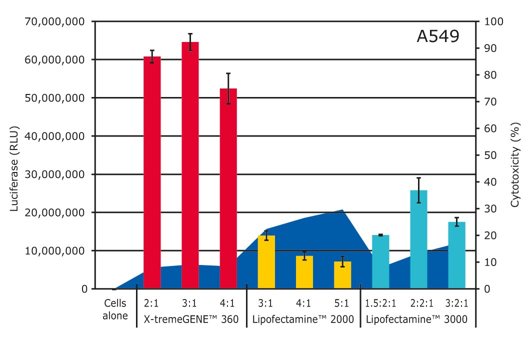 X-tremeGENETM 360 outperforms Lipofectamine reagents tested in A549 cells. A549 cells were transfected with luciferase encoding plasmid DNA using either X-tremeGENETM 360, Lipofectamine<sup>®</sup> 2000 (Thermo Fisher Scientific) or Lipofectamine<sup>®</sup> 3000 (Thermo Fisher Scientific) for 24 hours at indicated reagent-to-DNA ratios. Transfection was measured by luciferase activity using a conventional assay. Cytotoxicity was assessed by quantifying the LDH release from the cytosol of damaged cells compared to cells alone. Higher transgene expression and lower cytotoxicity was observed in cells transfected with X-tremeGENETM 360 at optimal ratios compared to cells transfected with Lipofectamine<sup>®</sup> 2000 or Lipofectamine<sup>®</sup> 3000. X-tremeGENETM 360 outperforms Lipofectamine® reagents in A549 cells.