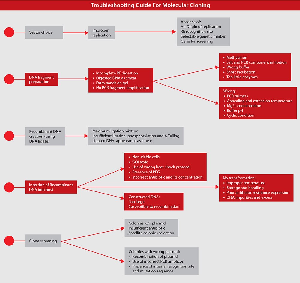 Troubleshooting Guide for Molecular Cloning