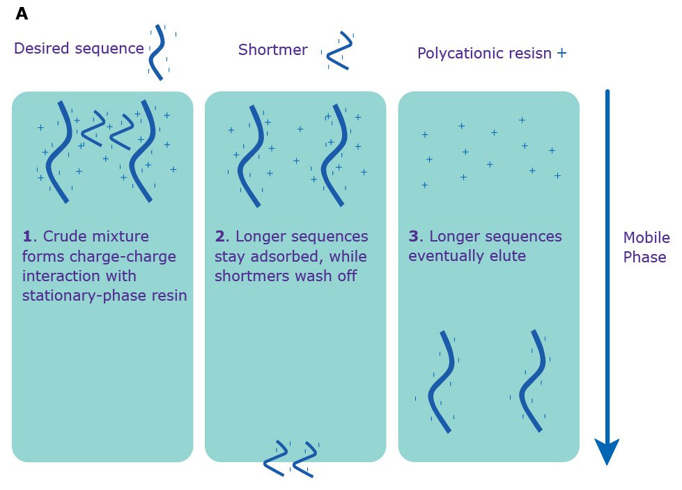 Print Separation via IE-HPLC