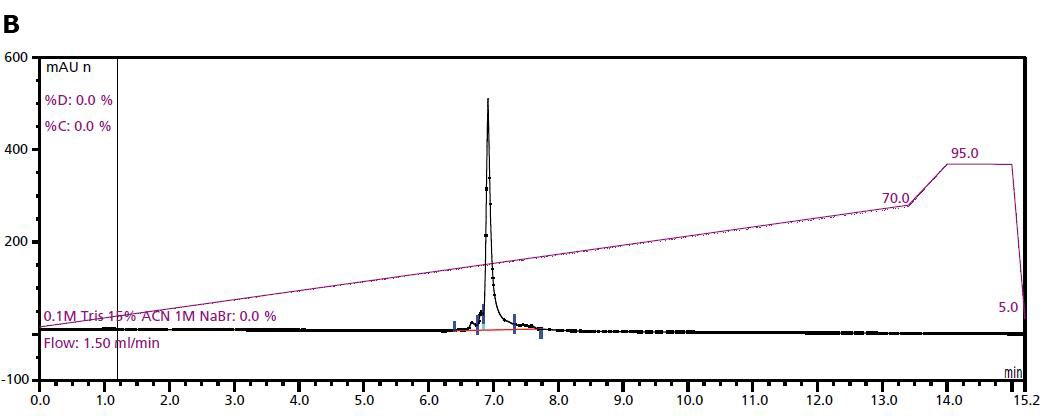 A. Separation via IE-HPLC B. An example anion-exchange chromatogram. An example anion-exchange chromatogram