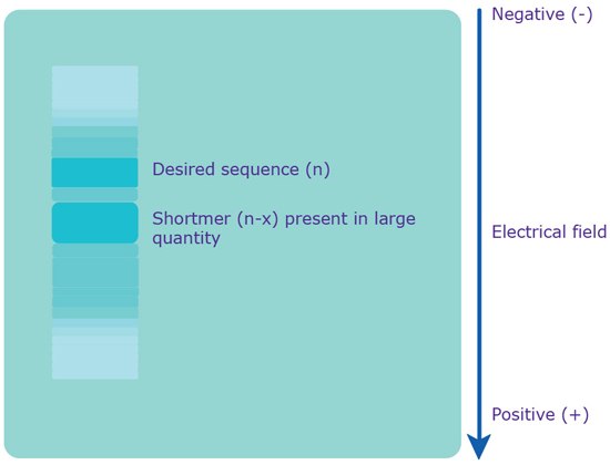page Separation via PAGE.