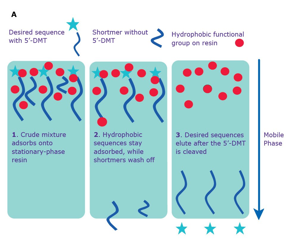 Print Separation via RP-HPLC