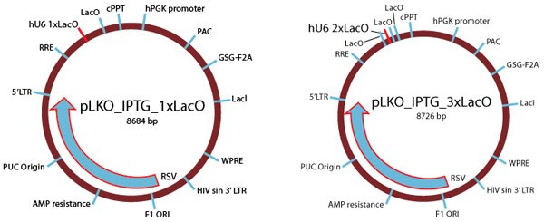 Inducible shRNA References