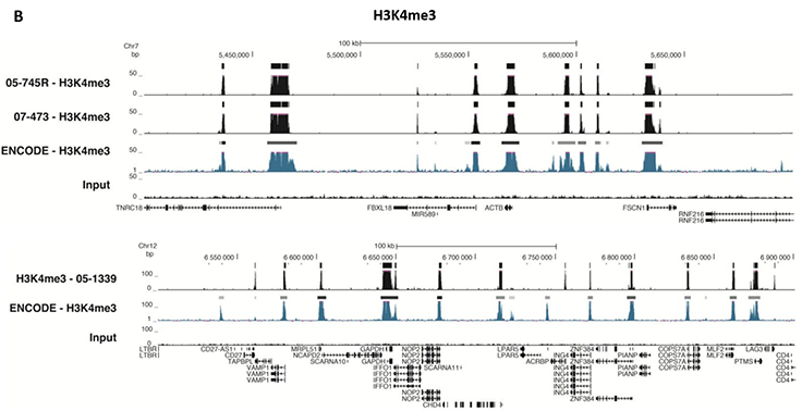 ChIP-Seq Analysis ChIP-Seq Analysis