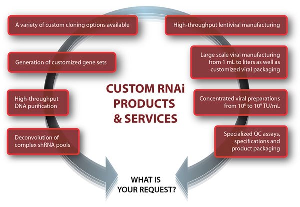 Custom RNAi Products & Services Custom RNAi Products & Services