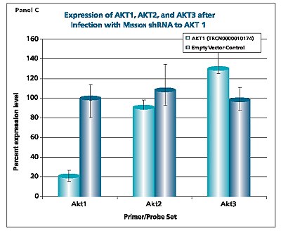MISSION® shRNA to AKT1