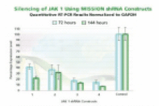 JAK 1 gene silencing. The Human Janus Kinase 1 (JAK 1, NM_002227) MISSION shRNA set (4 individual hairpins) was used to generate lentiviral particles and infect HEK 293T cells as above. Total RNA from 72 and 144 hours post-infection was also analyzed using the same procedures. The results shown indicate the shRNA constructs produce JAK 1 gene silencing compared to control levels. JAK 1 gene silencing.
