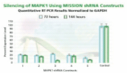 MAPK 1 gene silencing. The Human Mitogen-Activated Protein Kinase 1 (MAPK 1, NM_138957) MISSION shRNA set (5 individual hairpins) was used to generate lentiviral particles in packaging cells. HEK 293T cells were infected with the lentiviral particles containing the shRNA sequences. 72 and 144 hours post-infection, total RNA was purified and analyzed with the appropriate TaqMan™ Gene Expression Assay. The difference in Ct between infected samples and uninfected control cells along with the efficiency of PCR were used to generate percentage expression levels. Percentage is expressed as a level of the control (100%). MAPK 1 gene silencing.