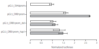 reporter-expression Reporter gene analysis of DRB1 promoter VDRE.