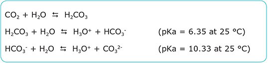 Absorption of carbon dioxide by ultrapure water