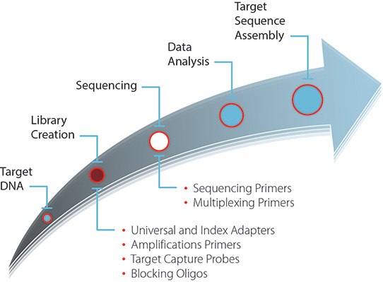 Generic next-generation sequencing workflow