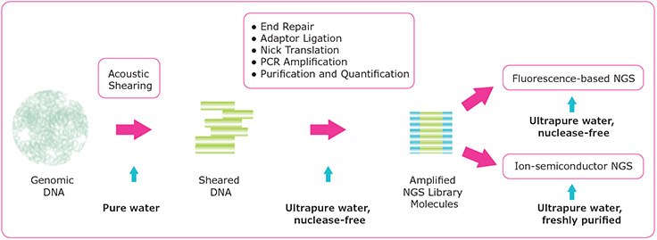NGS workflow and specific water quality requirements