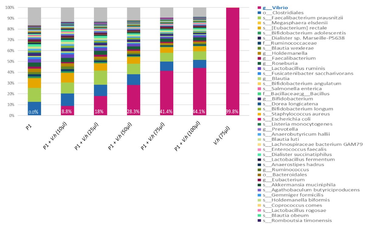 A range of concentrations (10, 25, 50, 75, and 100 µl) of inactivated bacteria <i>V. Harveyi</i> <a href="/product/sigma/mbd0037">MBD0037</a> (pink) were spiked into the same human stool sample (P1). DNA was amplified with 16S V3-V4 primers and sequenced on Miseq (250 bp reads, paired-end). When <b>MBD0037</b> (pink) is spiked into a human fecal sample it can be clearly identified by 16S NGS analysis. <b>MBD0037</b> can therefore serve as an internal spike-in standard control in a human microbiome genomics workflow. 16S NGS data show that inactivated V. harveyi spiked into fecal samples can serve as control in human microbiome genomics.