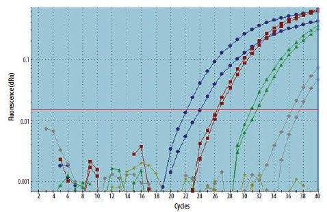 A cDNA sample was diluted through a 10-fold serial dilution and the specific template detected using duplicate qPCR for each dilution