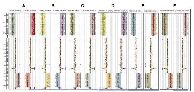 CGH Analytics ideograms illustrating input titration data from Agilent Human Genome CGH 105A microarrays. Dye swap plots were presented side-by-side in each panel (A-F). Polarity +1 (Cy5-HT29/Cy3-Female) is shown on the left and polarity -1 (Cy5-Female/Cy3-HT29) is shown on the right. These CGH plots compare normal female DNA vs. HT29 human colon carcinoma cell line having a known deletion across the p arm (horizontal shift to left of zero line), an amplification of the q arm in the q23.3-24.33 region (horizontal shift to right of zero line), and a focal deletion in q23.1. Dye swaps (switching the dye labels between samples) were performed on these samples to demonstrate that the results were not an effect of dye bias. A: amplified from 100 ng input, B: amplified from 50 ng input, C: amplified from 10 ng input, D: amplified from 1 ng input, E: MilliporeSigma amplified from 10 ng input, F: unamplified CGH Analytics ideograms