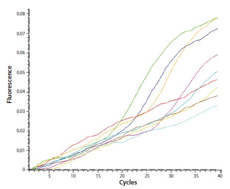 The assay has an unusual amplification plot profile with a pronounced drift of the baseline