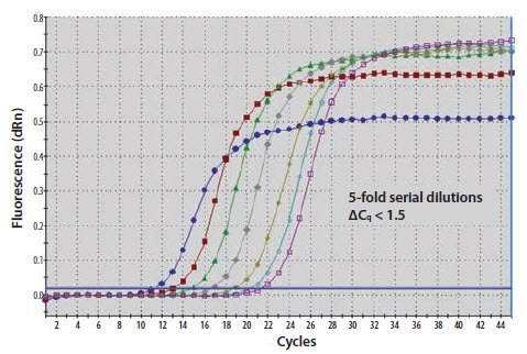A template nucleic acid was diluted through a 10-fold series