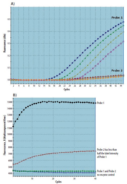 Two templates were detected using different probes