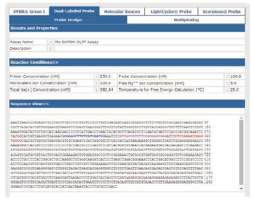 Assay Design Showing Two Primers in Red and Blue and the Dual-Labeled Probe in Purple
