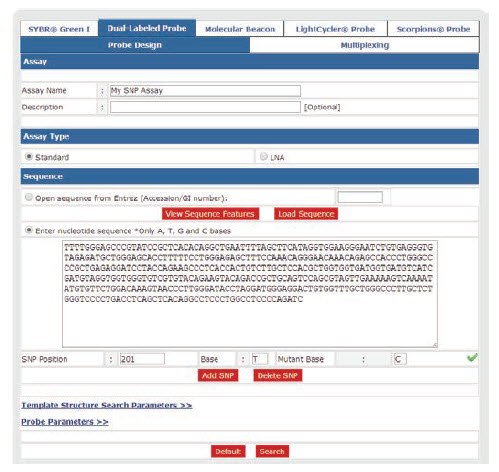 Entering SNP Information to Target Sequence