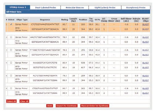 Alternative Primer Options
