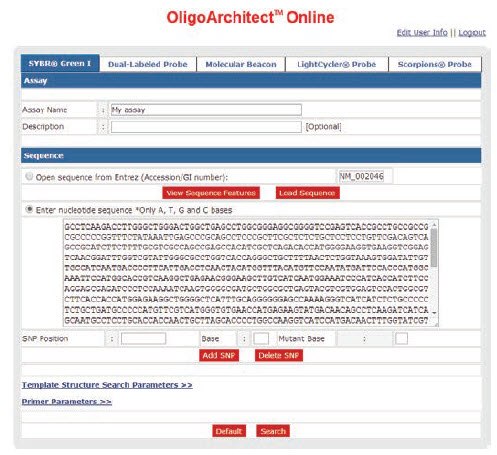 SYBR Green I Assay Design