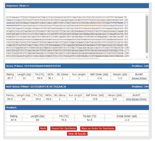 Primer Selection Indicated by Red and Blue Fonts
