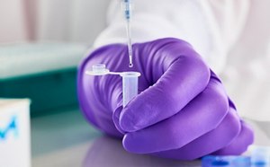 Purple glove and pipette