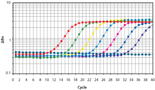 qPCR for measuring gene-level expression