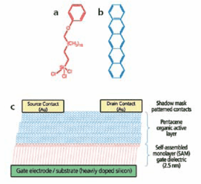 Schematic structure of an organic thin film transistor.