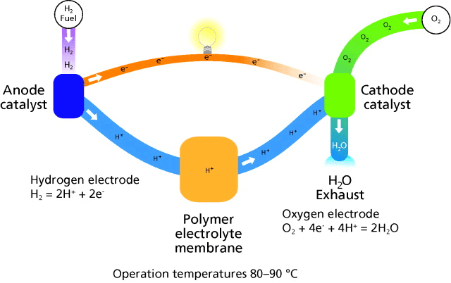 Schematic of a typical polymeric electrolyte membrane (PEM) fuel cell. Schematic of a typical polymeric electrolyte membrane (PEM) fuel cell.