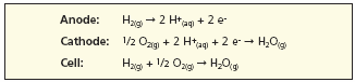 Oxidation/Reduction reaction in a fuel cell. Oxidation/Reduction reaction in a fuel cell.