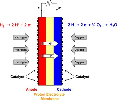 Schematic diagram of the major components and electrochemical reactions in a PEM fuel cell. components and electrochemical reactions in a PEM fuel cell.