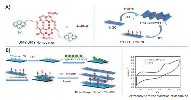 Formation of UPPY-UPPY homodimer B) Grafting of UPPY onto trGO through π–π bonding and formation of multilayer trGO-UPPY through LBL assembly technique. Reproduced with permission from the corresponding author.68 Formation of UPPY-UPPY homodimer