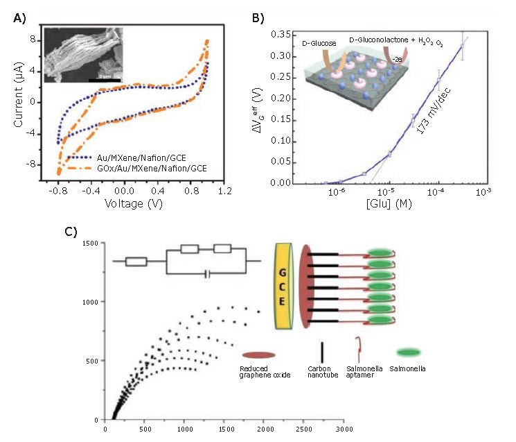 Examples of electrochemical sensors utilizing amperometric, potentiometric, and impedimetric transduction mechanisms.