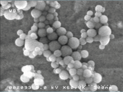 Hydroxyapatite Nanopowder Hydroxyapatite Nanopowder