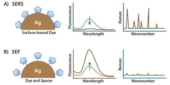 A) An organic fluorophore attached directly to a metal substrate typically has quenched fluorescence but a strong surface enhanced Raman spectrum (SERS). B) Spacing the fluorophore off of the metal surface results in surface enhanced fluorescence (SEF). an-organic-fluorophore