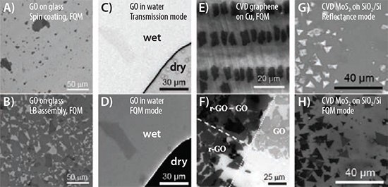 FQM images of GO sheets