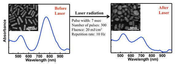 Gold nanorods and optical properties shown before (left) and after pulsed laser exposure (right). Standard gold nanorods without silica coating are highly unstable and will melt in response to laser light absorption, degrading their absorption and scattering of light at near infrared wavelengths. Gold nanorods and optical properties