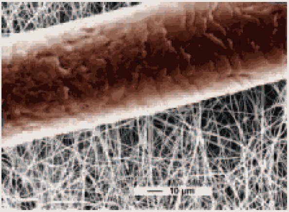 A picture of nanofibrils shown with a human hair for reference