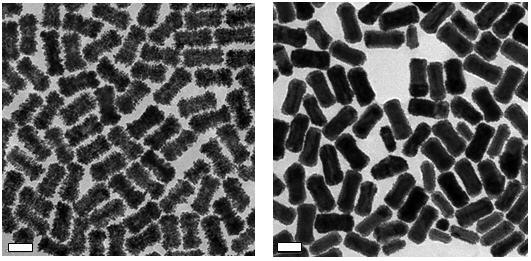 TEM images of Platinum coated gold nanostructures (Left) and Palladium coated gold nanostructures (Right). Scale bars are 50 nm. Platinum and Palladium Coated Gold Nanostructures