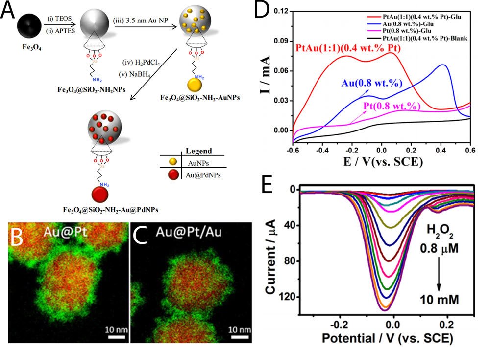 Schematic of the synthesis of Fe3O4@SiO2-NH2-Au@PdNPs